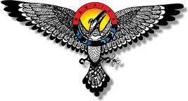 National Alaskan Native American Indian Nurses Association